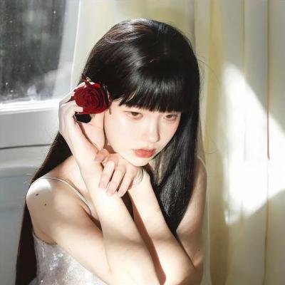 芝加哥警署第七季